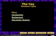The Cay Theodore Taylor Introduction Background Discussion Starters Menu.