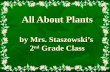 All About Plants by Mrs. Staszowski’s 2 nd Grade Class.