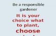 Be a responsible gardener It is your choice what to plant, choose wisely.