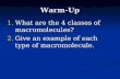 Warm-Up 1.What are the 4 classes of macromolecules? 2.Give an example of each type of macromolecule.