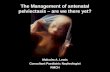 The Management of antenatal pelviectasis – are we there yet? Malcolm A. Lewis Consultant Paediatric Nephrologist RMCH.