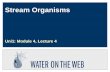 Stream Organisms Uni1: Module 4, Lecture 4. Developed by: Merrick, Richards Updated: August 2003 U1-m4-s2 Objectives Students will be able to:  describe.
