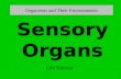 Organisms and Their Environments Life Science Sensory Organs.