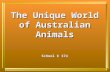 The Unique World of Australian Animals School № 174.