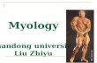 Myology shandong university Liu Zhiyu. smooth m. cardiac m. skeleton m. skeletal musclevoluntary m. 。 Section 1. Introduction.