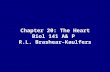 Chapter 20: The Heart Biol 141 A& P R.L. Brashear-Kaulfers.