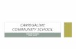 SENIOR OPTIONS 2014 - 2016 CARRIGALINE COMMUNITY SCHOOL.