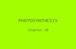 PHOTOSYNTHESIS Chapter 10. Sunbeams- photons provide the energy to drive photosynthesis. Without photosynthesis almost all organisms would die. They would.