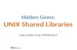 Hidden Gems: UNIX Shared Libraries Way better than PROBUILD.