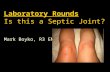 Laboratory Rounds Is this a Septic Joint? Mark Boyko, R3 EM.