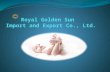 Brief Introduction Royal Golden Sun, established in 2006, which is a rising star of manufacturer for baby diapers, baby pull-ups, adult diapers, adult.