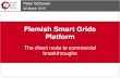 Flemish Smart Grids Platform The direct route to commercial breakthroughs Peter Verboven 02 March 2010.