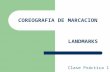 COREOGRAFIA DE MARCACION Clase Práctica 1 LANDMARKS.