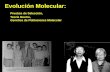 Evolución Molecular: Pruebas de Selección, Teoría Neutra, Genética de Poblaciones Molecular.