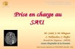 5èmes Journées Infirmières du COPACAMU, Marseille - 2008 Prise en charge au SAU M. Cadel, J.-M. Minguet S. Taillandier, C. Buffet Accueil des Urgences.