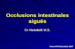 Occlusions intestinales aiguës Dr Abdelkéfi M.S. Cours IFSI Décembre 2007.