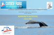 Commission ENVIRONNEMENT et BIOLOGIE SUBAQUATIQUES DECOUVERTE, CONNAISSANCE et PROTECTION du milieu subaquatique RAPPORT DACTIVITE Saison 2009.