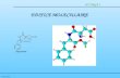 F.Nivoliers EDIFICE MOLECULAIRE UV ORGA 1. F.Nivoliers UV ORGA 1 LIAISONS DANS LES COMPOSES MOLECULAIRES STEREOCHIMIE: REACTIONS CHIMIQUES - MECANISMES.