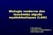 Biologie moderne des leucémies aiguës myéloblastiques (LAM) C.Preudhomme Laboratoire dHématologie A U524 Inserm Lille.