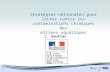 1 Stratégies nationales pour lutter contre les contaminations chimiques des milieux aquatiques L. Souliac + Logo(s)