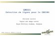 GMOSS Detection de lignes pour le GNEX06 Vinciane Lacroix Signal and Image Center Royal Military Academy, Belgium CNES Réunion ORFEO 17/01/07.