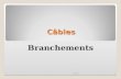 Câbles Branchements 15/01/20141. NF C 33 210 Câble NFC 33 210 Neutre sous plomb Section: 3 x 35 + 35 Aluminium 15/01/20142.