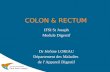 COLON & RECTUM 1 IFSI St Joseph Module Digestif Dr Jérôme LORIAU Département des Maladies de lAppareil Digestif.