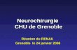 Neurochirurgie CHU de Grenoble Réunion du RENAU Grenoble le 24 janvier 2006.