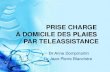 PLAIES PRISE CHARGE À DOMICILE DES PLAIES PAR TELEASSISTANCE Dr Anne Dompmartin Dr Jean-Pierre Blanchère.