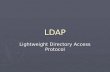 LDAP Lightweight Directory Access Protocol. Ce que pensent 100 directeurs informatique de LDAP :