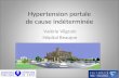 Hypertension portale de cause indéterminée Valérie Vilgrain Hôpital Beaujon.