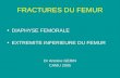 FRACTURES DU FEMUR DIAPHYSE FEMORALE EXTREMITE INFERIEURE DU FEMUR Dr Antoine GERIN CAMU 2005.