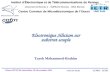 IETR UMR 6164 T. MOHAMMED-BRAHIM CCMO – IETR 12èmes JPCNFM, Saint-Malo, 28-30 novembre 2012 22/02/2014 01:25 Electronique Silicium sur substrat souple.