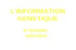 L'INFORMATION GENETIQUE à l'échelle cellulaire. INTRODUCTION à la génétique Hérédité = transmission des caractères à leurs descendants 1866.