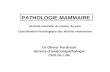 PATHOLOGIE MAMMAIRE Histoire naturelle du cancer du sein Classification histologique des lésions mammaires Dr Olivier Kerdraon Service danatomopathologie.