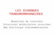 LES ECHANGES TRANSMEMBRANAIRES Modalités de transfert Structures moléculaires associées ddp électrique transmembranaire.