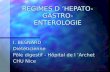 REGIMES D HEPATO- GASTRO-ENTEROLOGIE I. BESNARD Diététicienne Pôle digestif - Hôpital de l Archet CHU Nice.