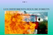 FdF 1 LES DIFFERENTS FEUX DE FORETS. GENERALITES Un feu de forêt est un incendie intéressant le couvert ou le milieu végétal qui va pouvoir, sans intervention.