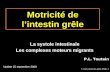 7-cours-motricite-grele-MMC-1 Motricité de lintestin grêle La systole intestinale Les complexes moteurs migrants Update 25 septembre 2008 P.L. Toutain.