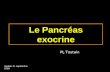 10-cours-pancreas1 Le Pancréas exocrine Update 31 septembre 2008 PL Toutain.