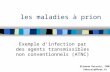Les maladies à prion Exemple dinfection par des agents transmissibles non conventionnels (ATNC) Etienne Decroly, CNRS Edecroly@free.fr.