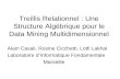Treillis Relationnel : Une Structure Algébrique pour le Data Mining Multidimensionnel Alain Casali, Rosine Cicchetti, Lotfi Lakhal Laboratoire dInformatique.