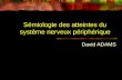 Sémiologie des atteintes du système nerveux périphérique David ADAMS.
