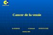 Cancer de la vessie Institut Curie Dr MAMMAR G Gaboriaud INSTITUT CURIE Octobre 2005.