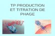 TP PRODUCTION ET TITRATION DE PHAGE. BACTERIOPHAGE P1 Bactériophage = virus infectant des bactéries sensible.