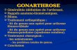 GONARTHROSE Généralités (définition de larthrose). Généralités (définition de larthrose). Rappels anatomo-biomécaniques. Rappels anatomo-biomécaniques.