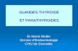 GLANDES THYROIDE ET PARATHYROIDES GLANDES THYROIDE ET PARATHYROIDES Dr Marie Muller Service dEndocrinologie CHU de Grenoble.
