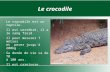 Le crocodile Le crocodile est un reptile. Il est vertébré, il a le sang froid. Il peut mesurer 7 mètres et peser jusqu'à 200kg. Sa durée de vie va de 70.