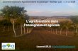 Lagroforesterie dans lenseignement agricole. Journée régionale Agroforesterie et paysage - Noilhan (32) - 17-12-2009 Laurent LELLI - laurent.lelli@educagri.frlaurent.lelli@educagri.fr.