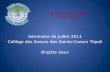 Le thème de lannée 2011/2012 Séminaire de Juillet 2011 Collège des Soeurs des Saints-Coeurs Tripoli Brigitte Seux.